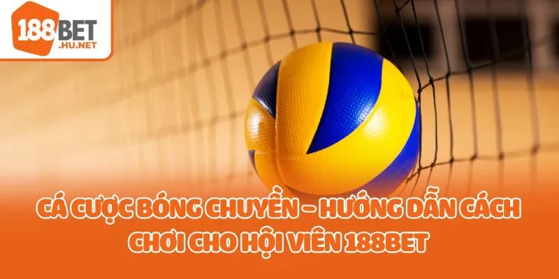 cá cược bóng chuyền