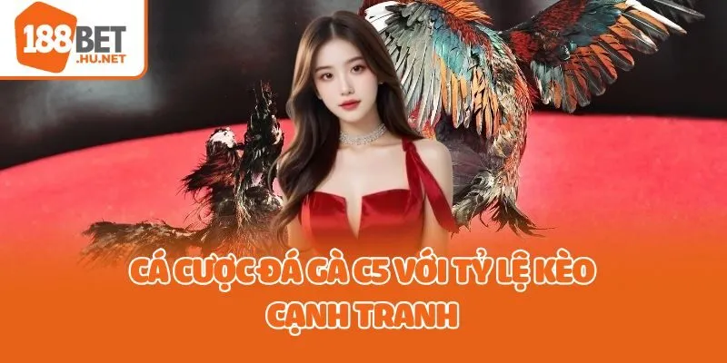 Cá cược đá gà C5 với tỷ lệ kèo cạnh tranh