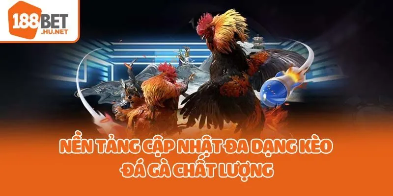 Nền tảng cập nhật đa dạng kèo đá gà chất lượng