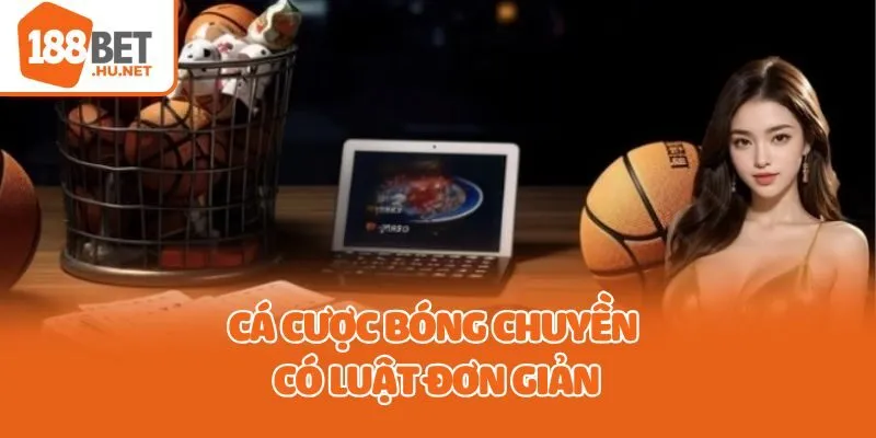 Cá cược bóng chuyền có luật đơn giản