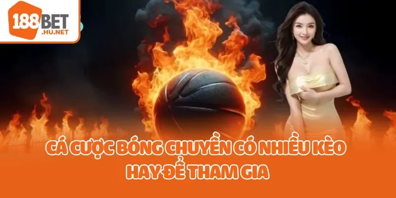 Cá cược bóng chuyền có nhiều kèo hay để tham gia