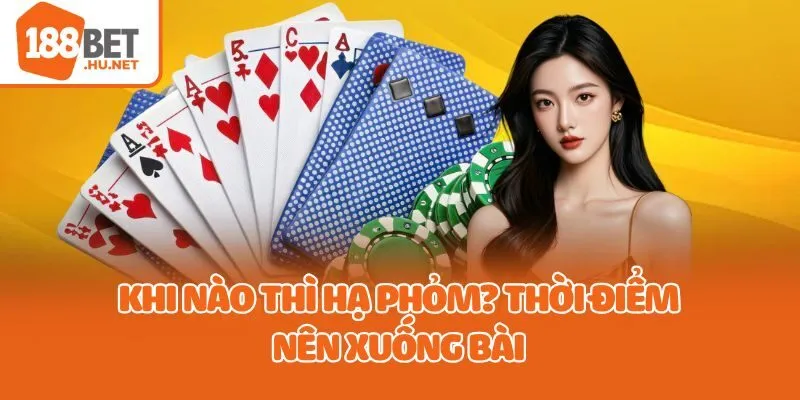 Khi nào thì hạ phỏm? Thời điểm nên xuống bài