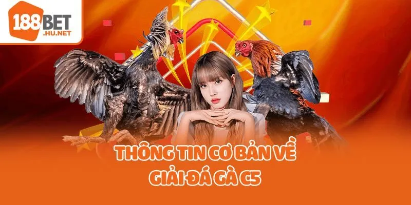 Thông tin cơ bản về giải đá gà C5