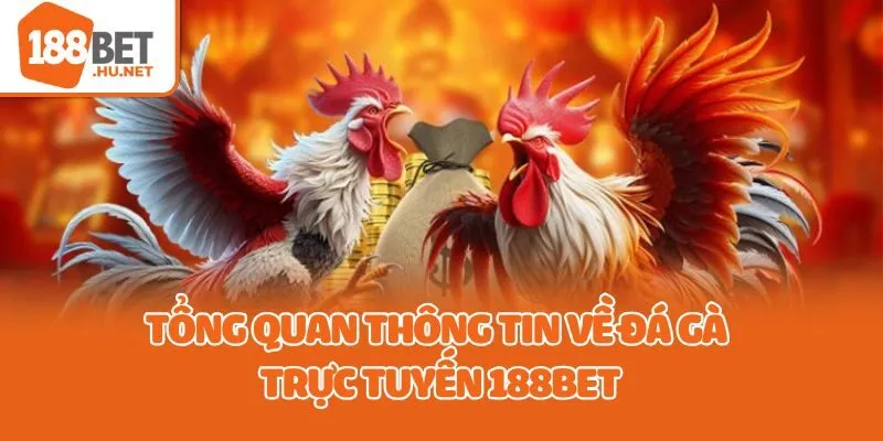 Tổng quan thông tin về đá gà trực tuyến 188bet